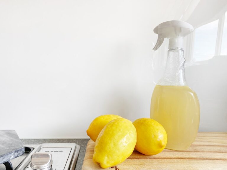 Save Money With This Easy DIY Natural All Purpose Cleaner